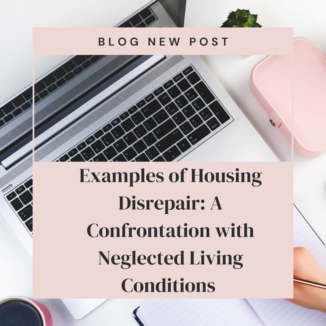 Examples of Housing Disrepair: A Confrontation with Neglected Living Conditions
