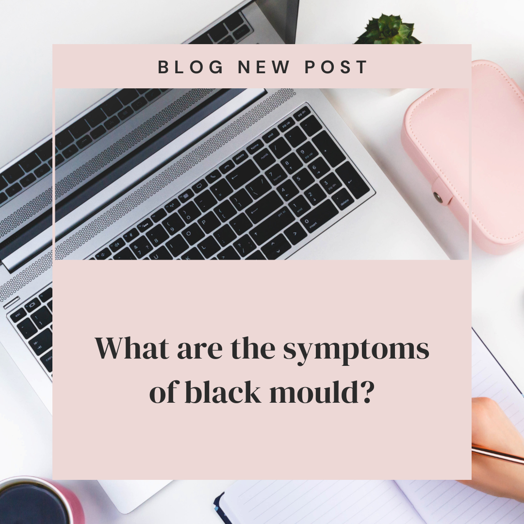 What are the symptoms of black mould?
