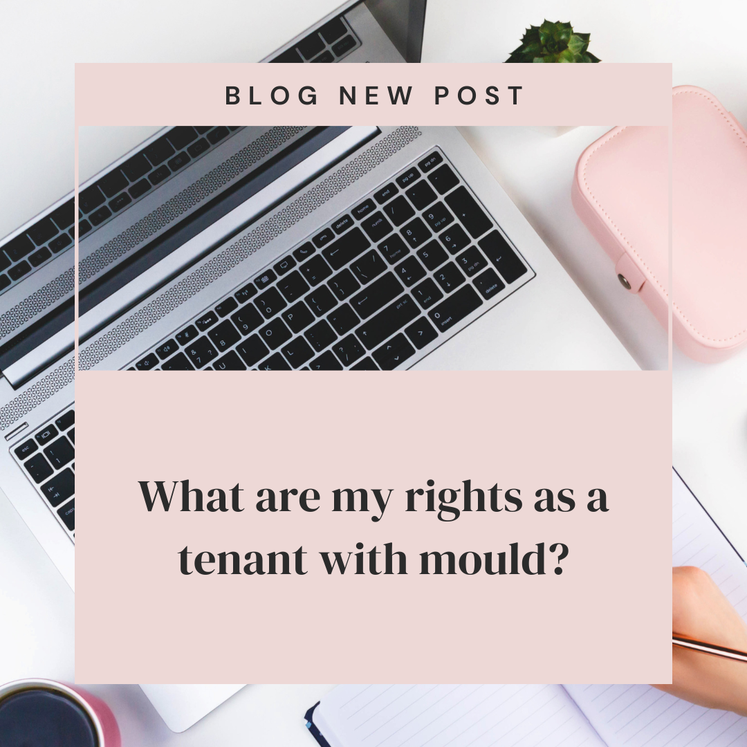 What are my rights as a tenant with mould?