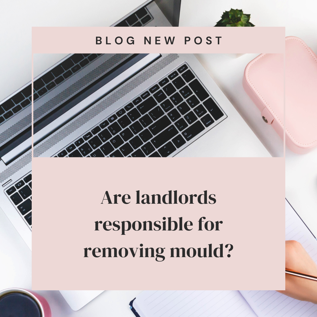 Are landlords responsible for removing mould?
