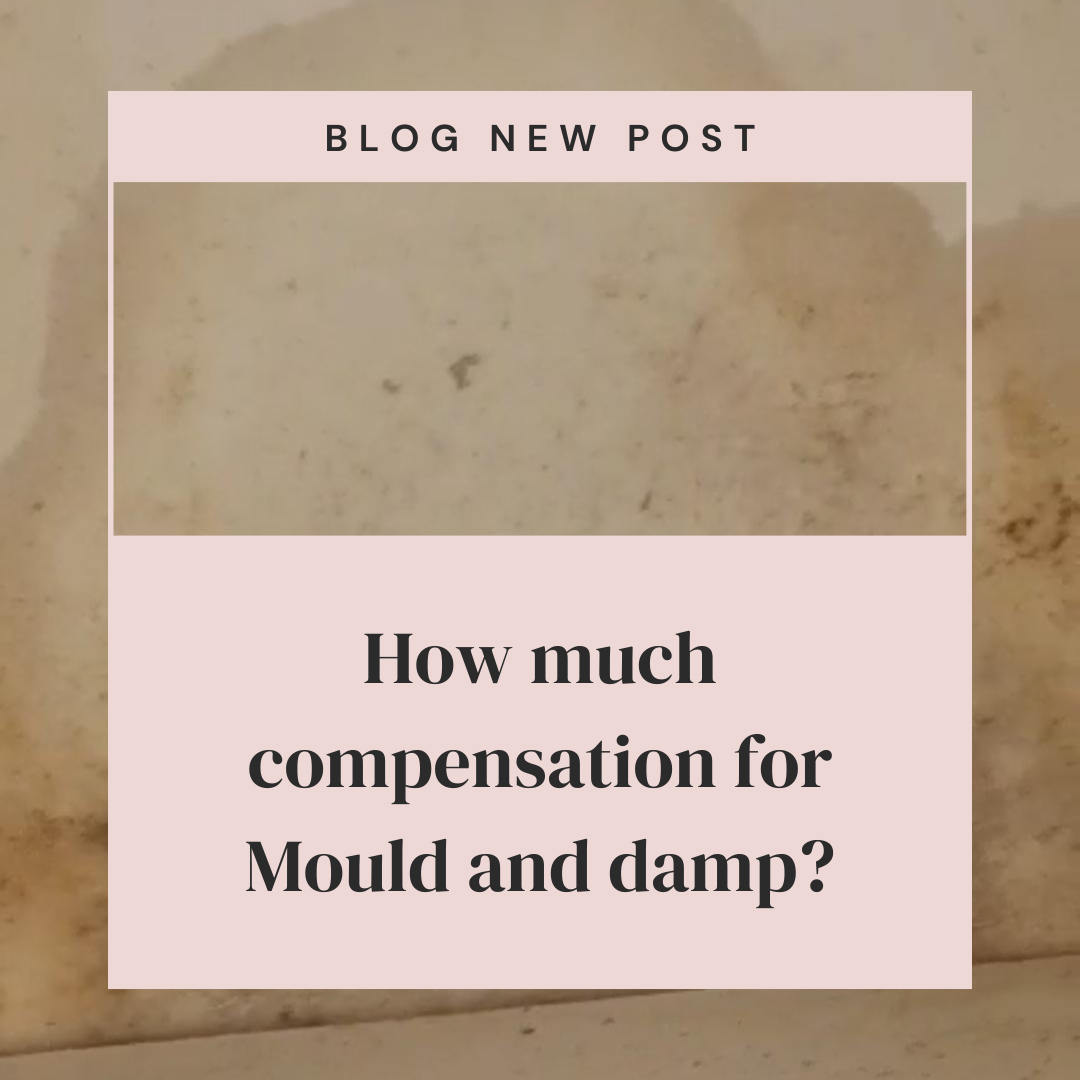 How much compensation for Mould and damp?