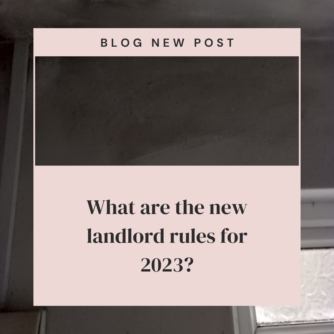 What are the new landlord rules for 2023?