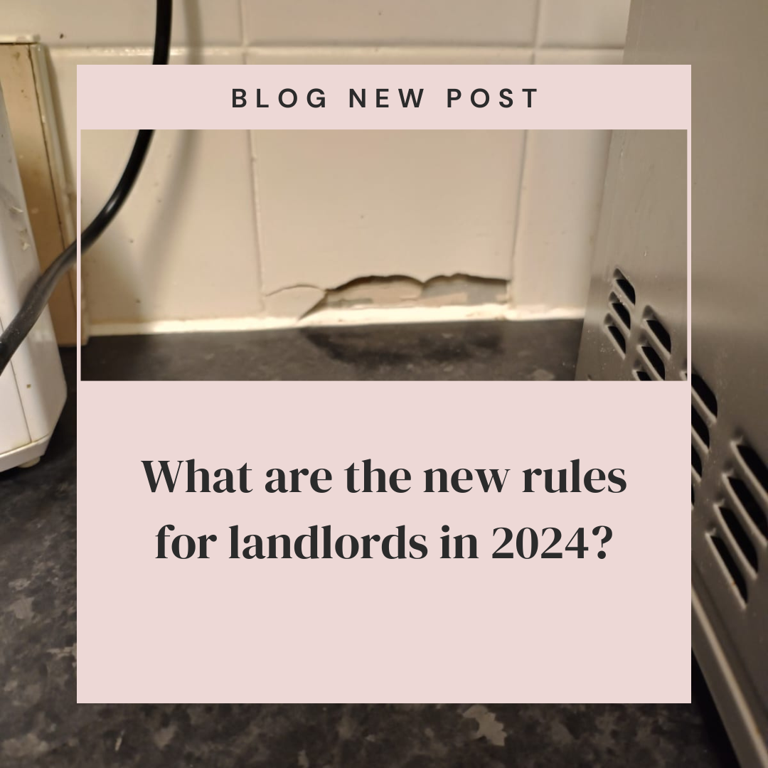 What are the new rules for landlords in 2024?