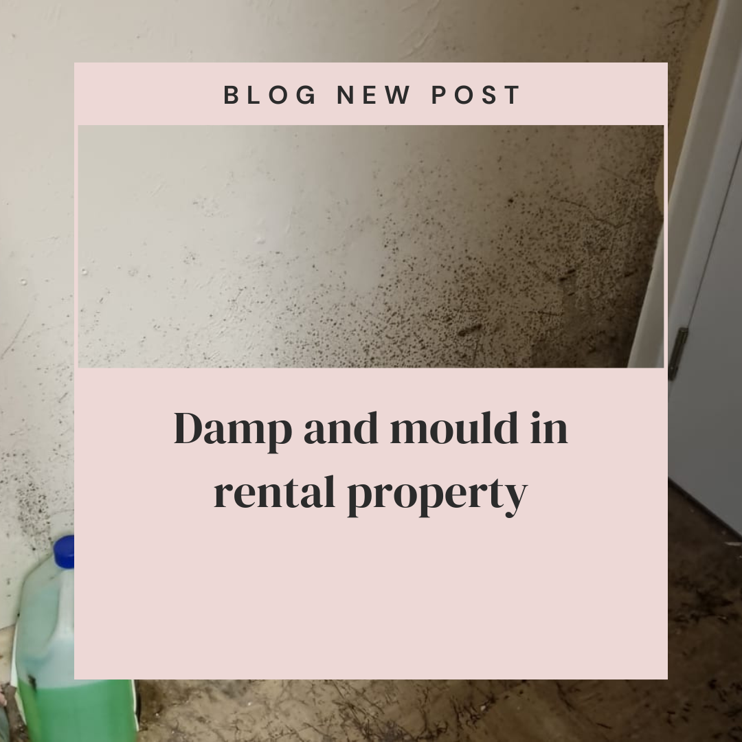 Damp and mould in rental property