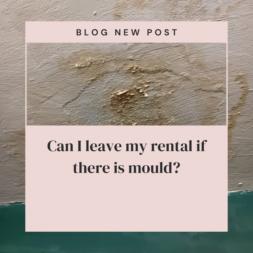 Can I leave my rental if there is mould?