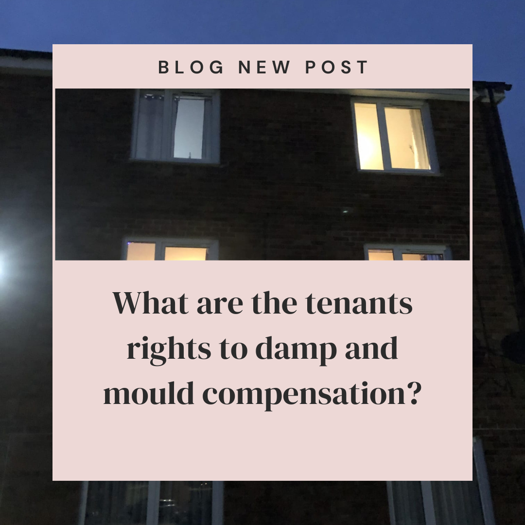 What are the tenants rights to damp and mould compensation?