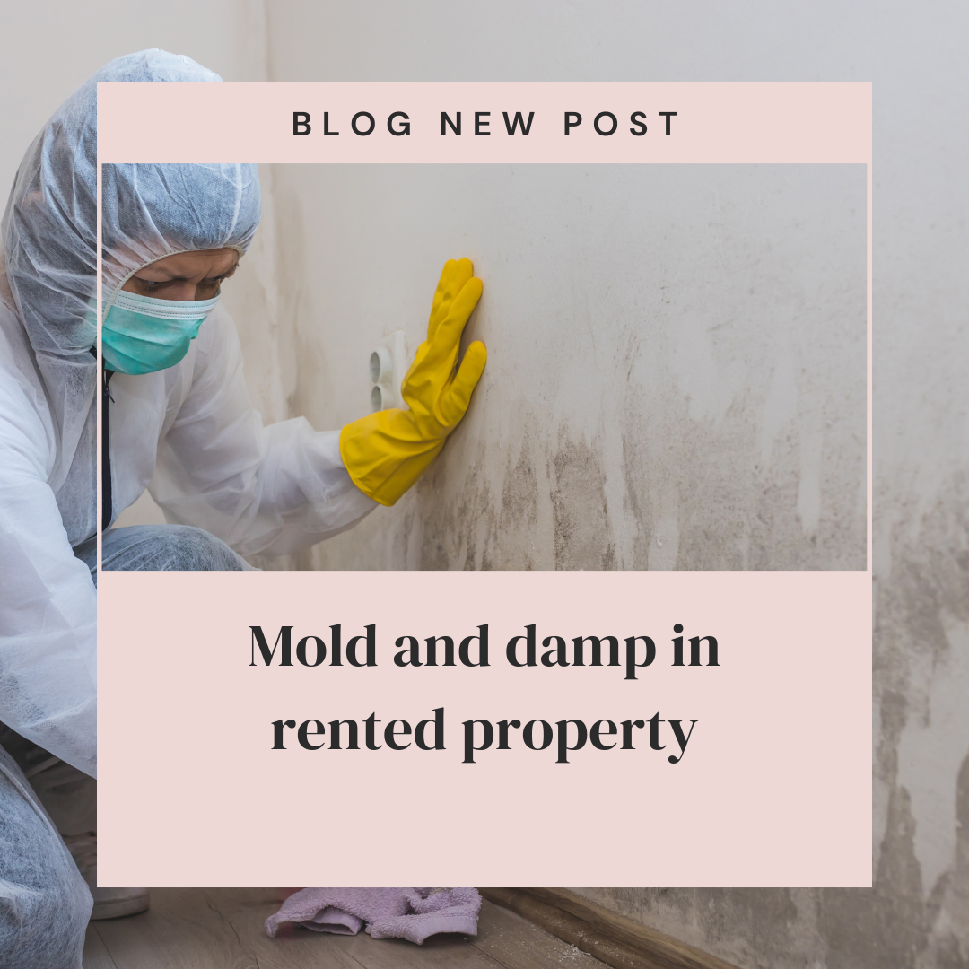 Mold and damp in rented property