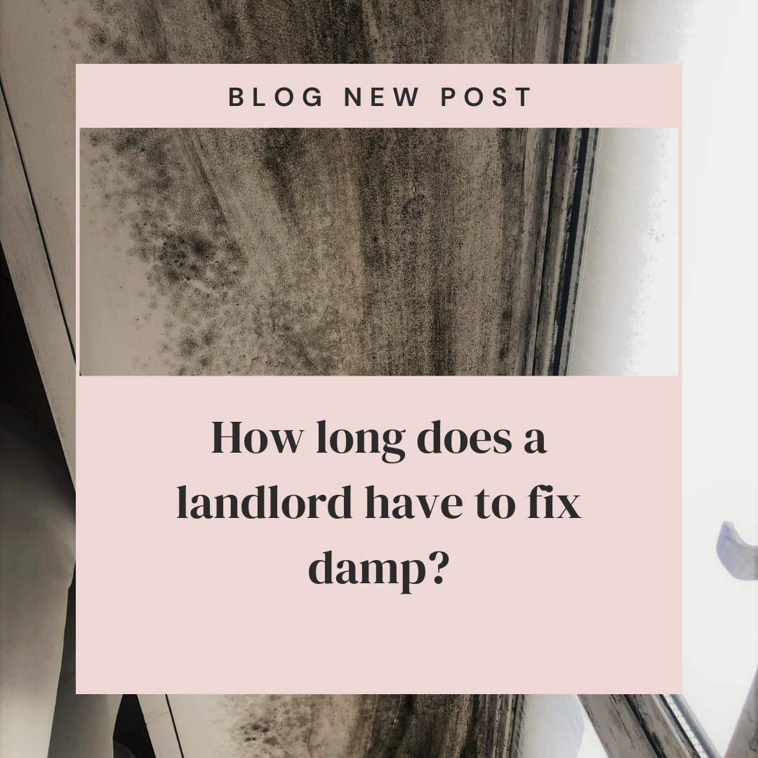 How long does a landlord have to fix damp?
