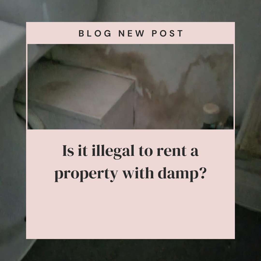 Is it illegal to rent a property with damp?