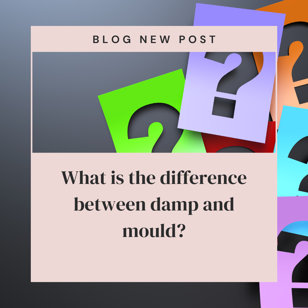 What is the difference between damp and mould?