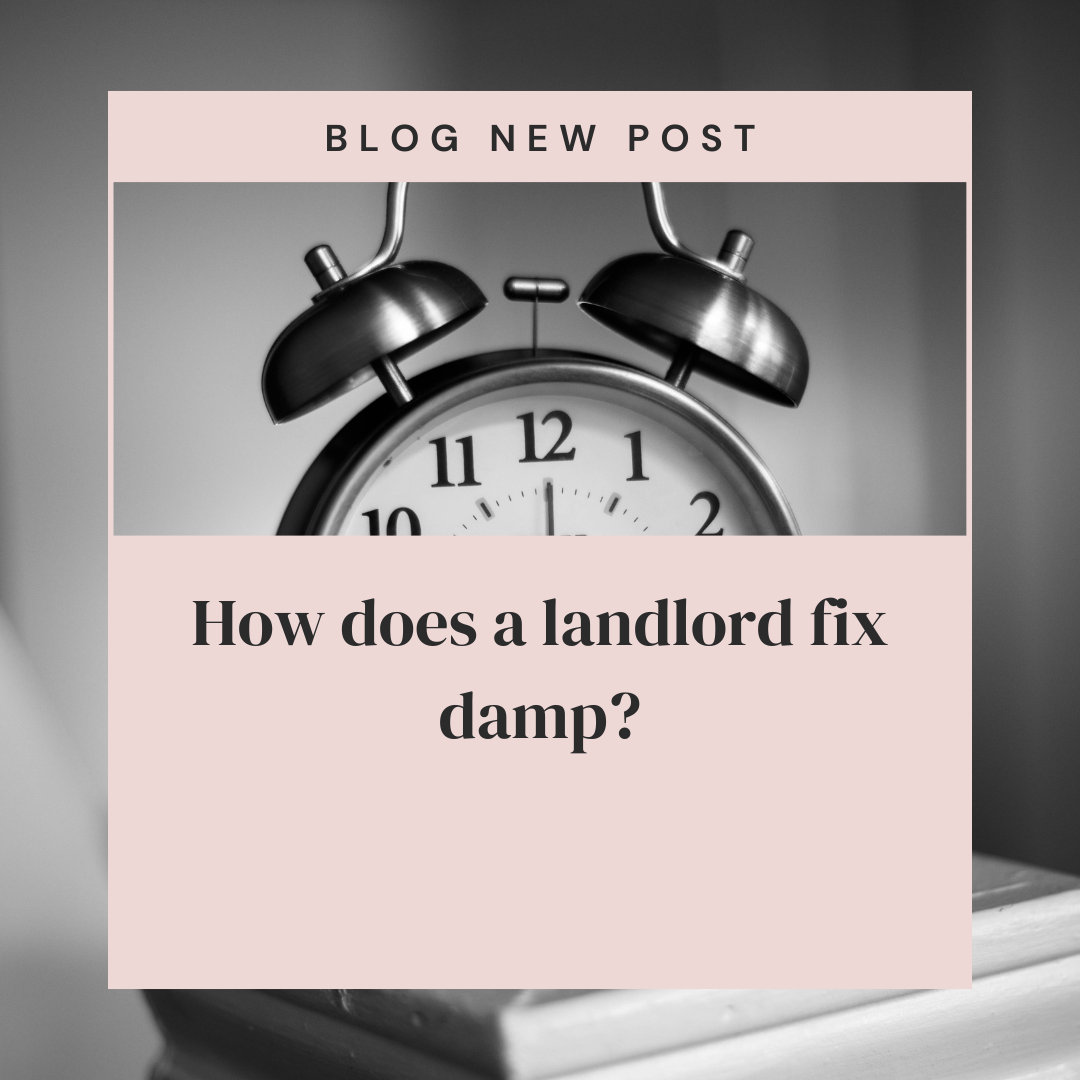 How does a landlord fix damp?