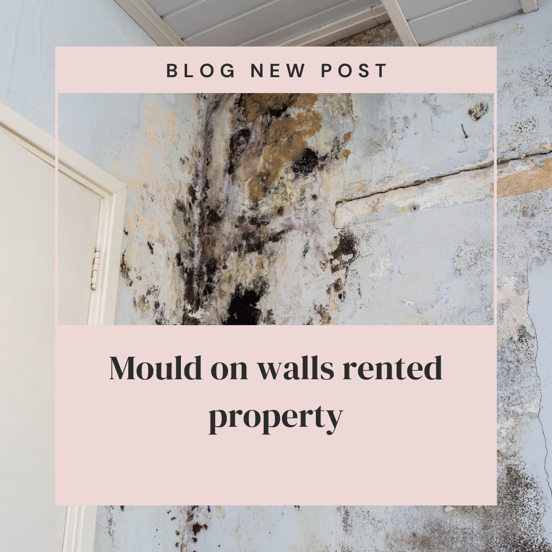 Mould on walls rented property